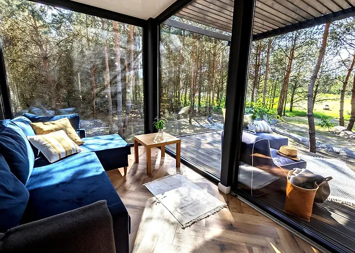 Przeszklony Tiny House W Lesie