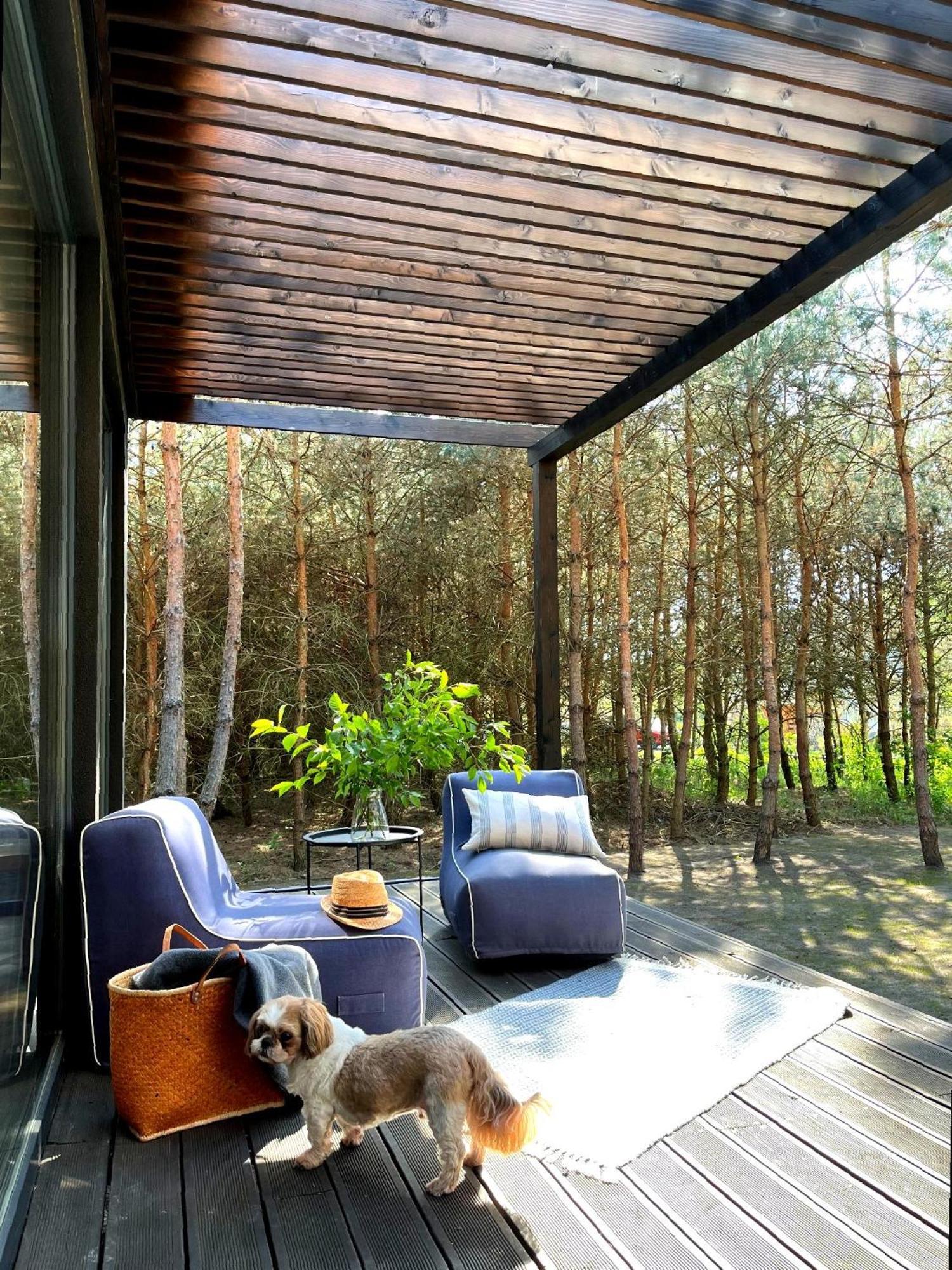 Przeszklony Tiny House W Lesie * Tomczyn